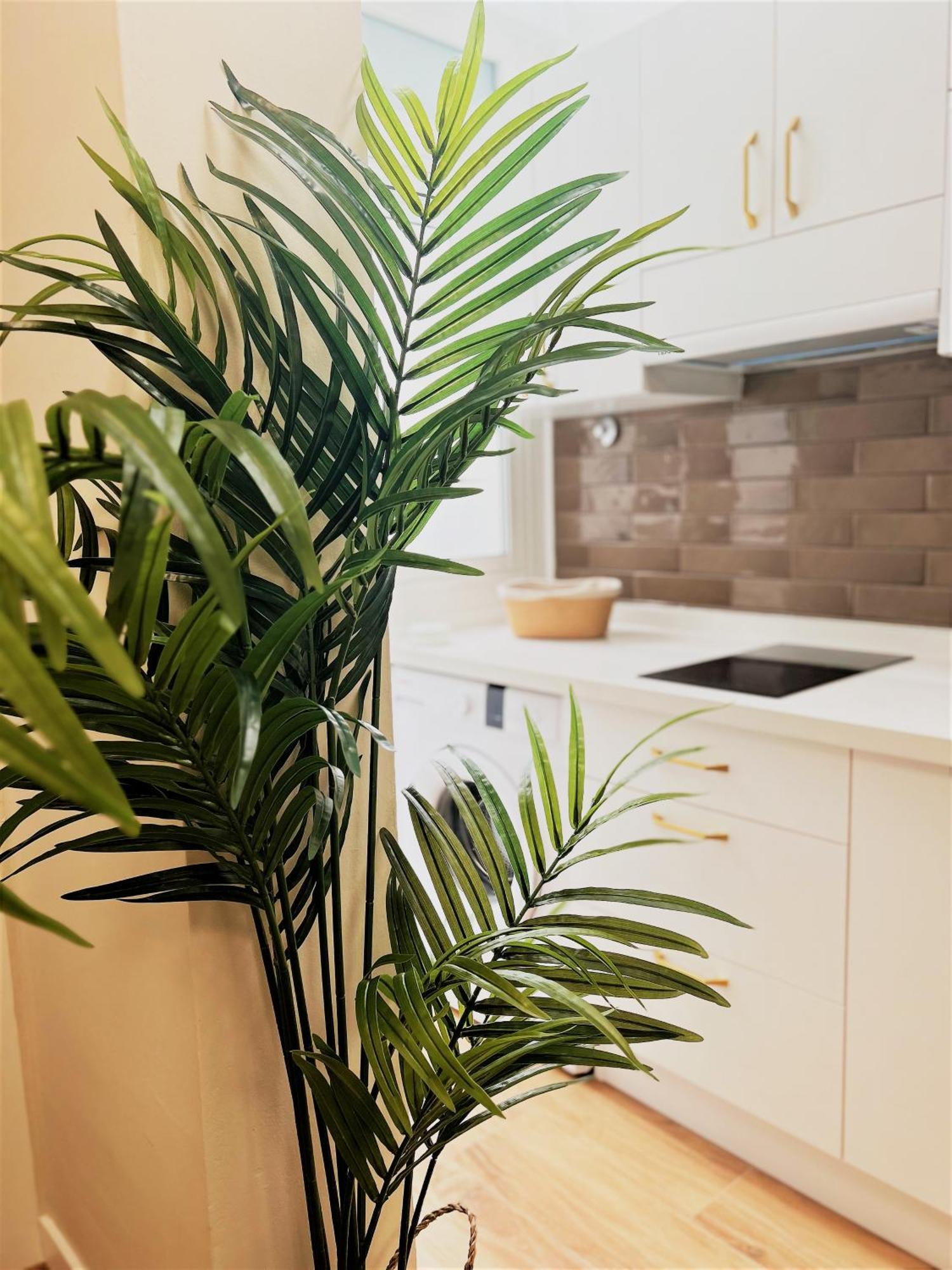 Apartamentos Pepita San Sebastián de la Gomera Esterno foto